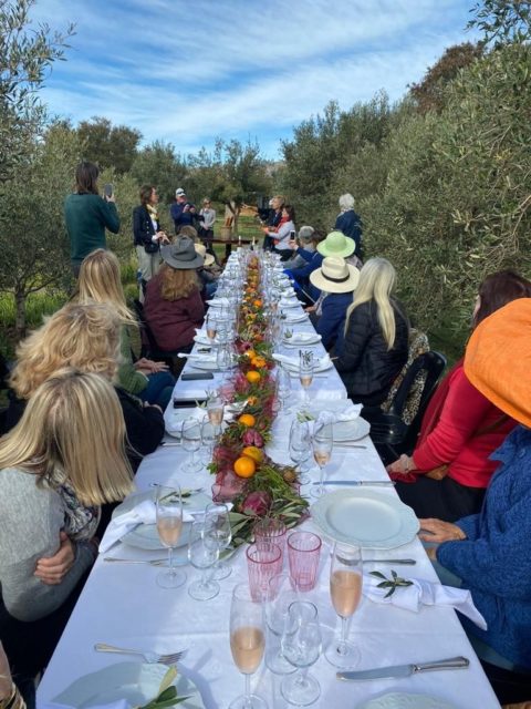 Lunch time at Rio Largo Olive Farm