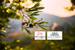 Olive oil tasting at Rio Largo