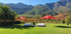 Liz Biden at La Residence in Franschhoek