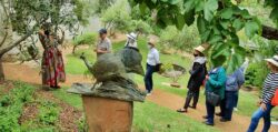 Dylan Lewis Garden Event