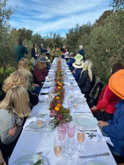 Lunch time at Rio Largo Olive Farm