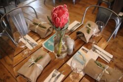 Adele Searll at Chardonnay Deli